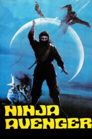 Impossible Woman 1983 on netflix