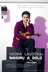 Vojta Lavička: Ups and Downs 2013 on netflix