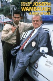 From the Files of Joseph Wambaugh: A Jury of One 1992 on netflix