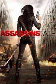 Assassins Tale 2013 on netflix
