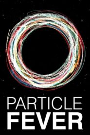 Particle Fever 2013 on netflix
