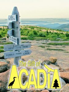The Gift of Acadia 1992 on netflix