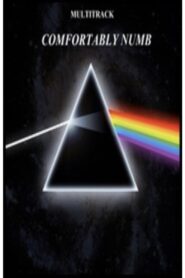 Pink Floyd – Comfortably Numb 2005 on netflix