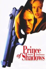 Prince of Shadows 1991 on netflix