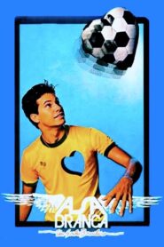 Asa Branca: A Brazilian Dream 1980 on netflix