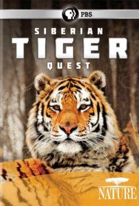 Siberian Tiger Quest 2012 on netflix