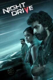Night Drive 2022 on netflix