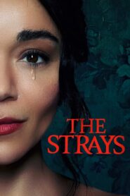 The Strays 2023 on netflix