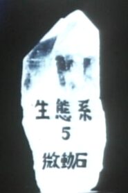 Ecosystem 5 ~ A Tremulous Stone 1988 on netflix