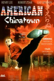 American Chinatown 1993 on netflix