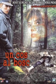 A Body in the Woods 1996 on netflix