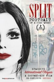 Split: Portrait of a Drag Queen 1993 on netflix