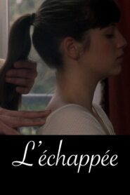 L’échappée 2009 on netflix