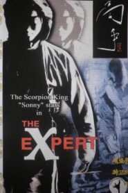 The Expert 1998 on netflix