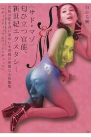 Sadistic and Masochistic 2001 on netflix