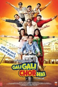 Gali Gali Chor Hai 2012 on netflix