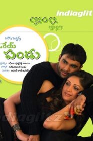Oray Pandu 2005 on netflix