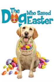 The Dog Who Saved Easter 2014 on netflix
