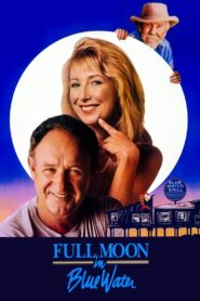 Full Moon in Blue Water 1988 on netflix