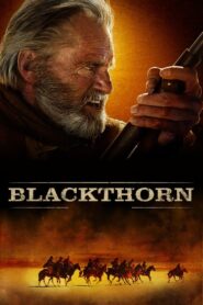 Blackthorn 2011 on netflix