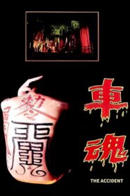 The Accident 1983 on netflix