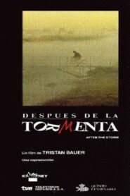 Después de la tormenta 1991 on netflix