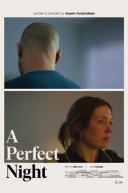 A Perfect Night 2024 on netflix