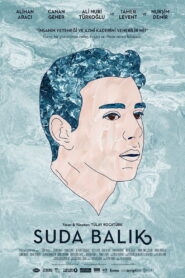 The Fish in the Water 2016 on netflix
