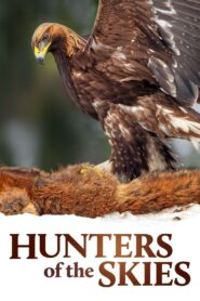 Hunters of the Skies 2018 on netflix