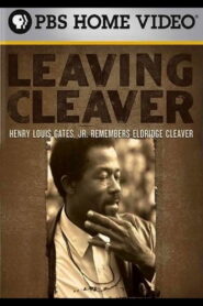 Leaving Cleaver 1999 on netflix
