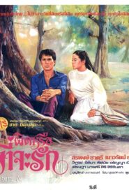 ผิดหรือที่จะรัก 1980 on netflix