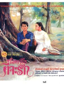 ผิดหรือที่จะรัก 1980 on netflix