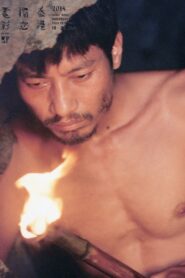 The Man from Island West 1990 on netflix