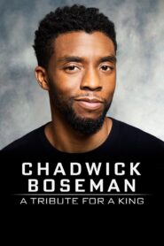Chadwick Boseman: A Tribute for a King 2020 on netflix