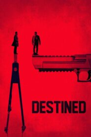 Destined 2017 on netflix
