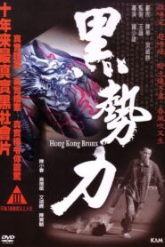 Hong Kong Bronx 2008 on netflix