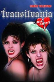 Transilvania, mi amor 2002 on netflix