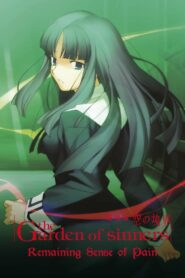 The Garden of Sinners: Remaining Sense of Pain 2008 on netflix