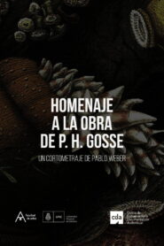 Homage to the Work of Philip Henry Gosse 2020 on netflix