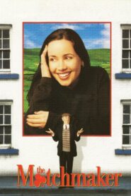 The Matchmaker 1997 on netflix
