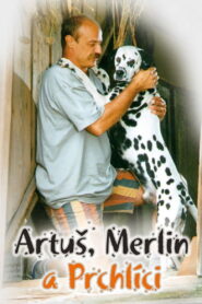 Artus, Merlin a Prchlici 1995 on netflix