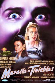 Wall of Darkness 1994 on netflix