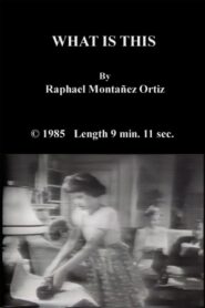 What Is This 1985 on netflix