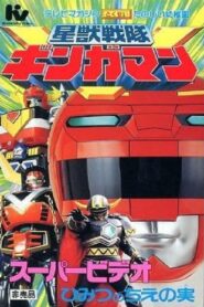 Seijuu Sentai Gingaman Super Video: The Secret Fruit of Wisdom 1998 on netflix