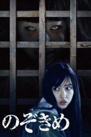 The Stare 2016 on netflix
