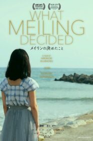 What Meiling Decided 2019 on netflix