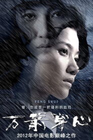 Feng Shui 2012 on netflix