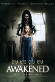 Awakened 2013 on netflix