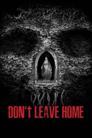 Don’t Leave Home 2018 on netflix