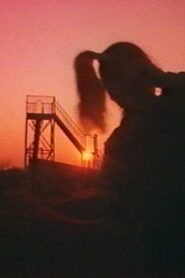 The Landroute Goes to the Bottom of Night 1985 on netflix